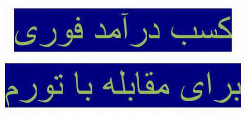 روشهای آسان کسب درآمد فوری برای مقابله با تورم